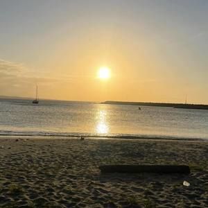 Meet your Posher, Annie